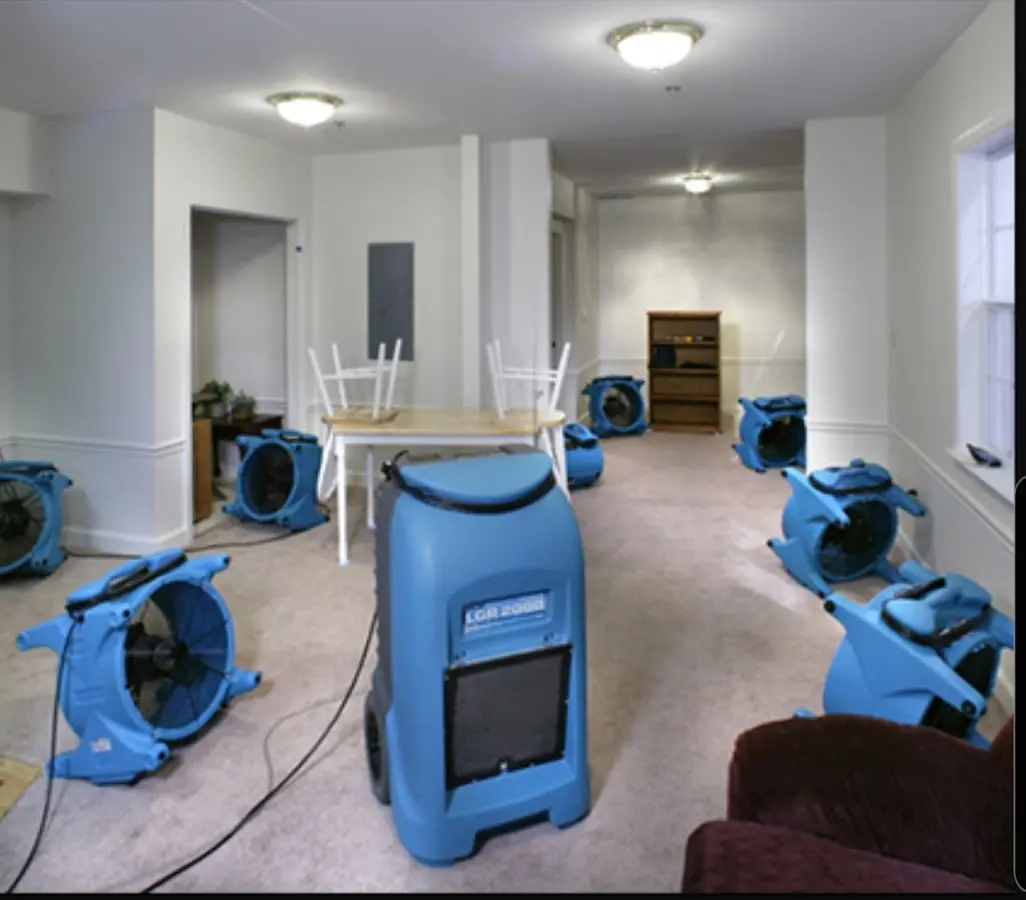 Air movers and dehumidifier setup for Water Extraction & Removal in Vineyard