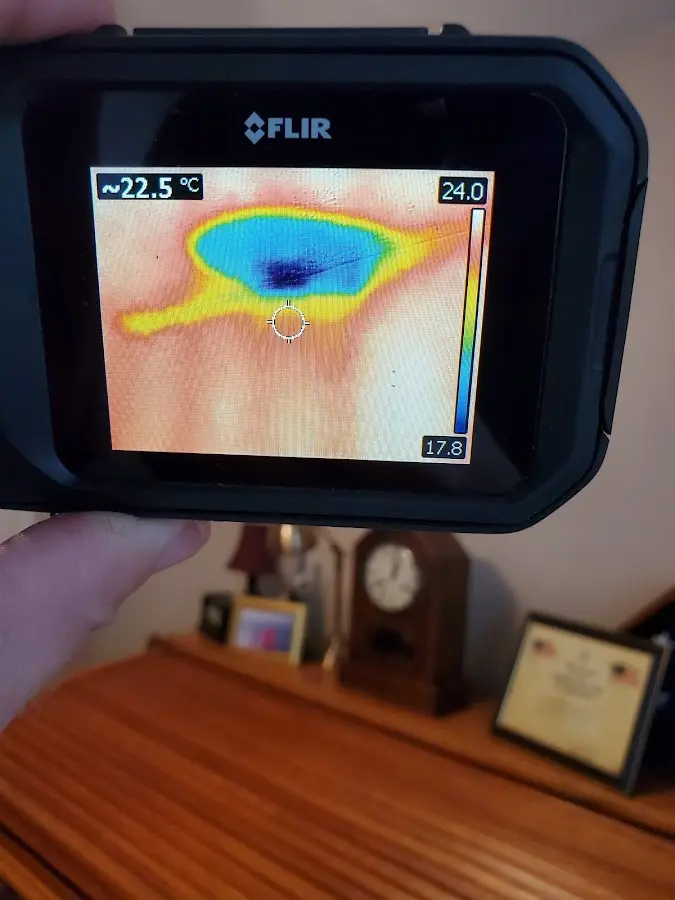 Thermal imaging inspection for water damage in Vineyard